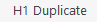 duplicate H1
